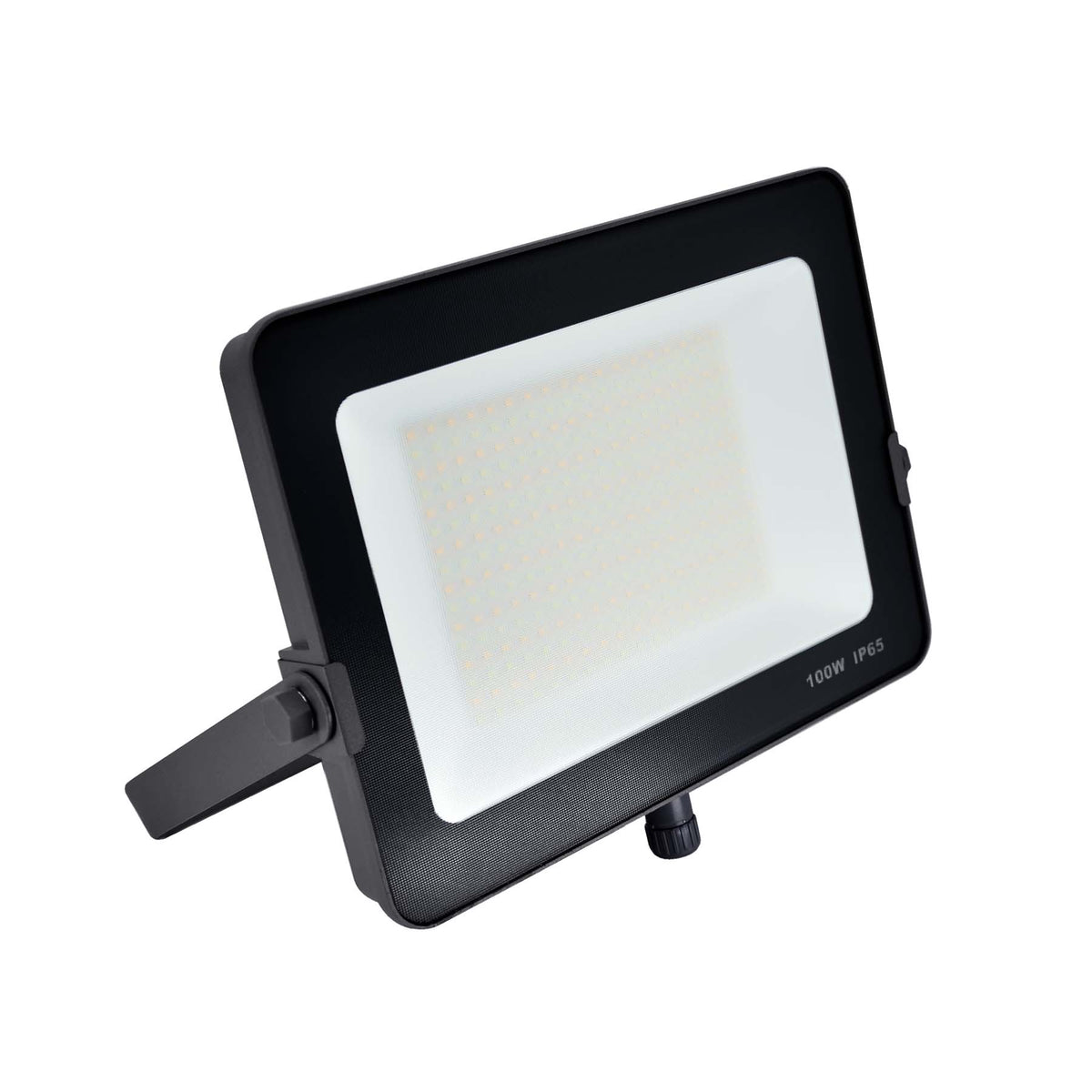Infinity Infinity LED Floodlight Infinity Black Casing LED Flood Light