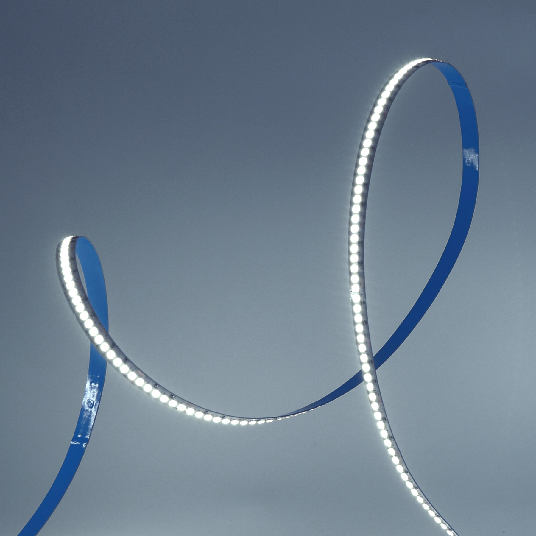 G.W.S. LED LED Strip Lights 24V IP20 2835 5 Meters 240 LEDs/M LED Strip Light