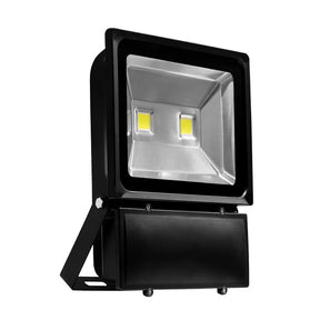 G.W.S LED Wholesale Classic LED Floodlight 100W / Warm White (3000K) Classic Black Casing LED Flood Light