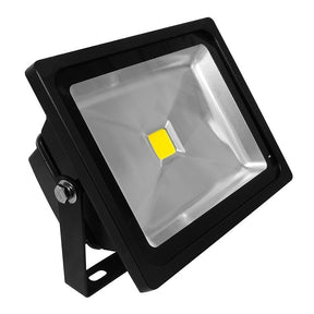 G.W.S LED Wholesale Classic LED Floodlight 30W / Warm White (3500K) / Black Classic LED Flood Light
