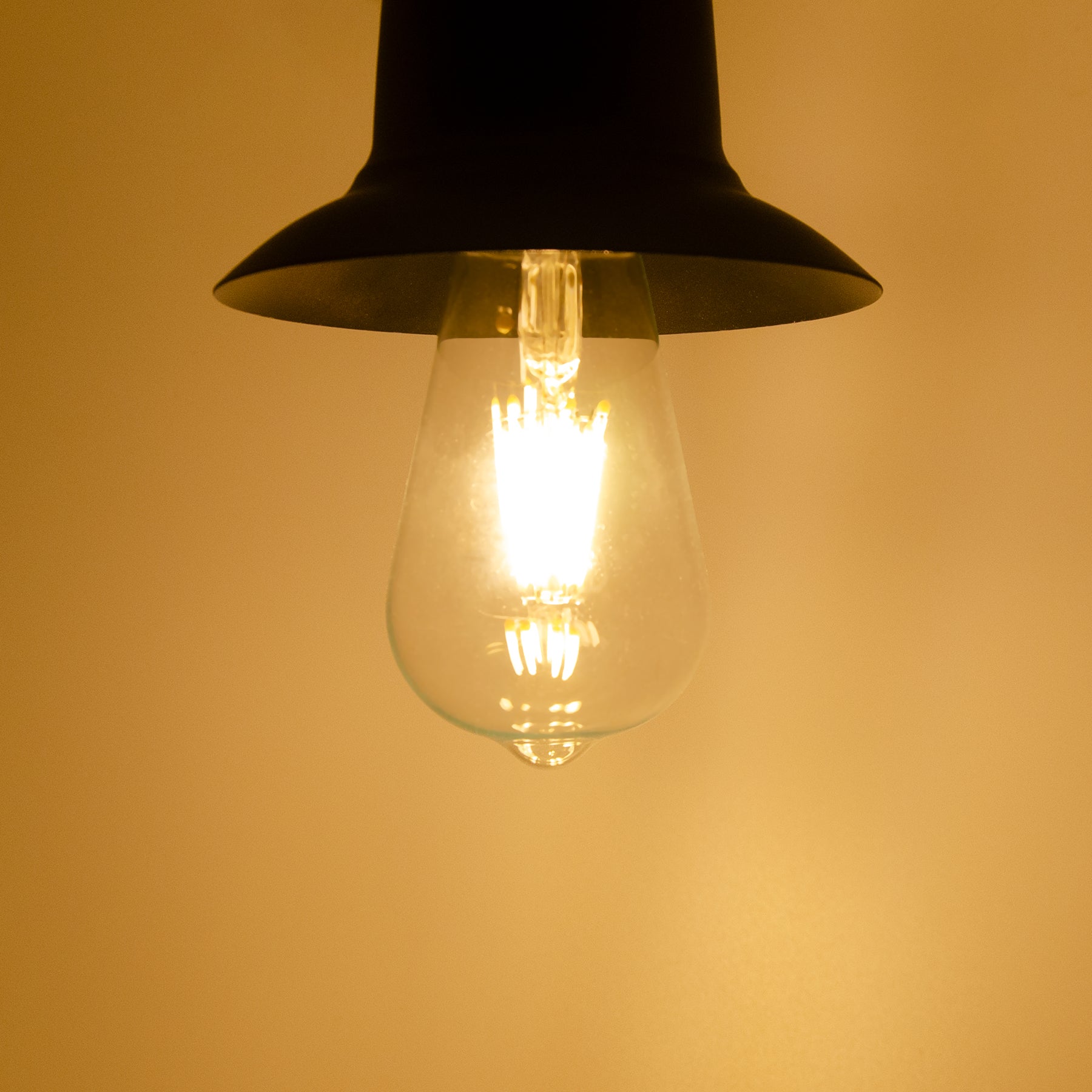 Antique style on sale bulbs