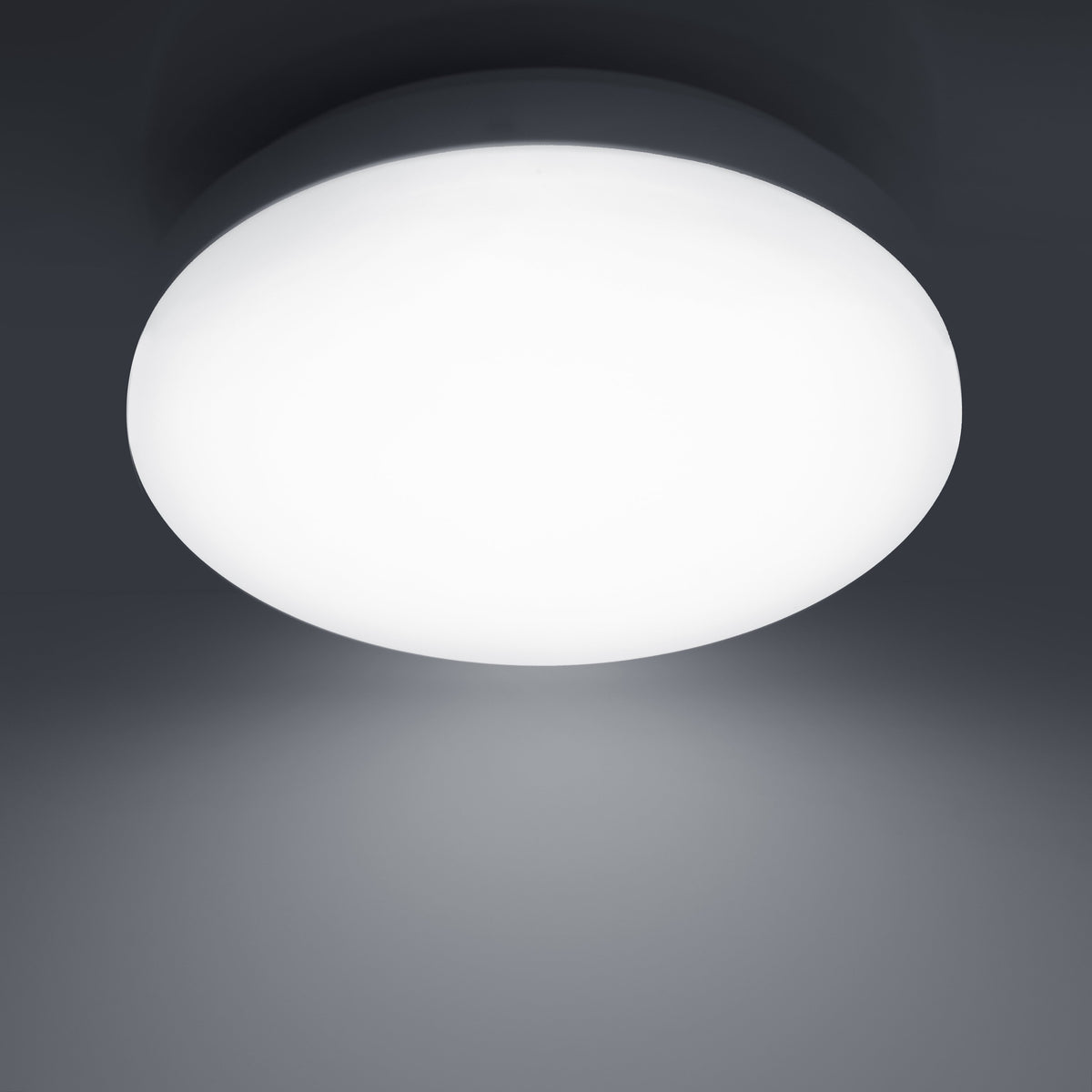 G.W.S LED Wholesale LED Ceiling Lights 12W / Day White (6000K) Slim LED Bulkhead Wall/Ceiling Light