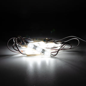 G.W.S LED Wholesale LED Module Lights IP67 (Waterproof) / Cool White (6000K) / 10 AC220V 2835 1.5W 3 LEDs Signage Module Light