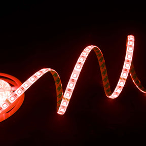 G.W.S LED Wholesale LED Strip Lights 24V IP44 5050 5 Meters 60 LEDs/M RGB+Warm White LED Strip Light