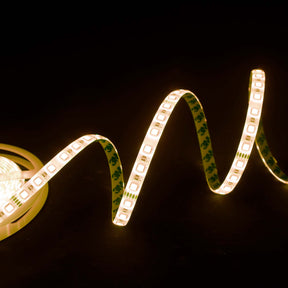 G.W.S LED Wholesale LED Strip Lights 24V IP44 5050 5 Meters 60 LEDs/M RGB+Warm White LED Strip Light