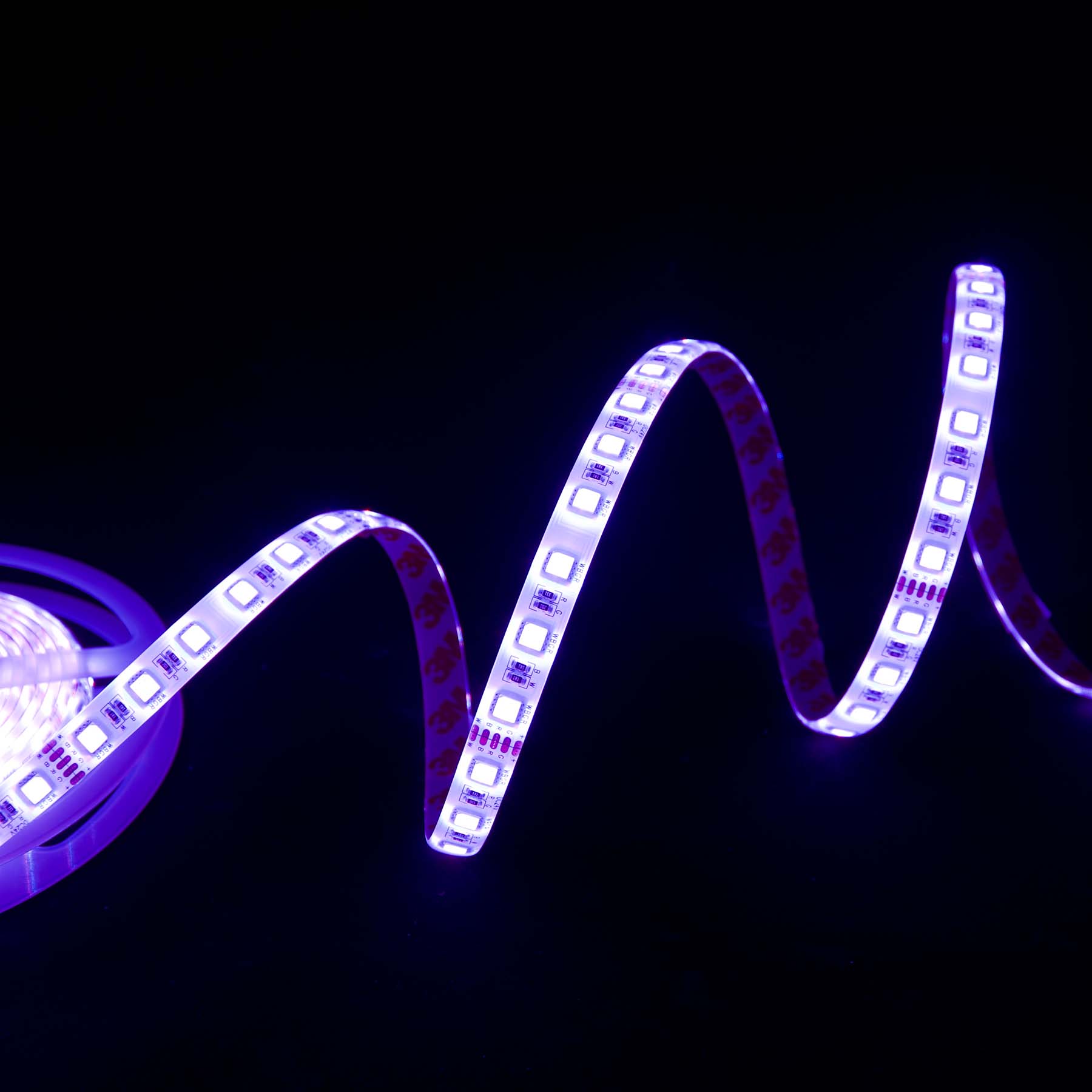 G.W.S LED Wholesale LED Strip Lights 24V IP44 5050 5 Meters 60 LEDs/M RGB+Warm White LED Strip Light