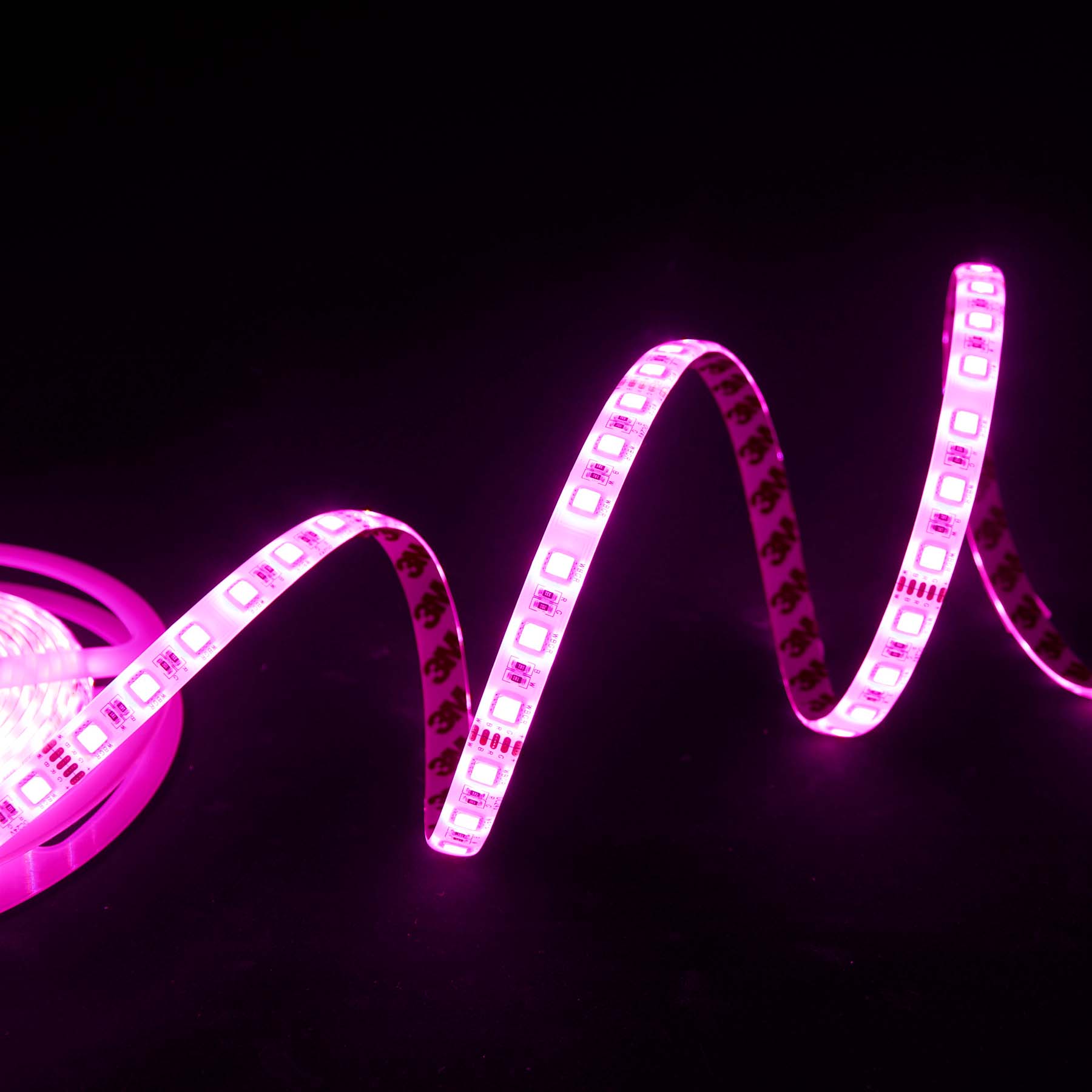 G.W.S LED Wholesale LED Strip Lights 24V IP44 5050 5 Meters 60 LEDs/M RGB+Warm White LED Strip Light