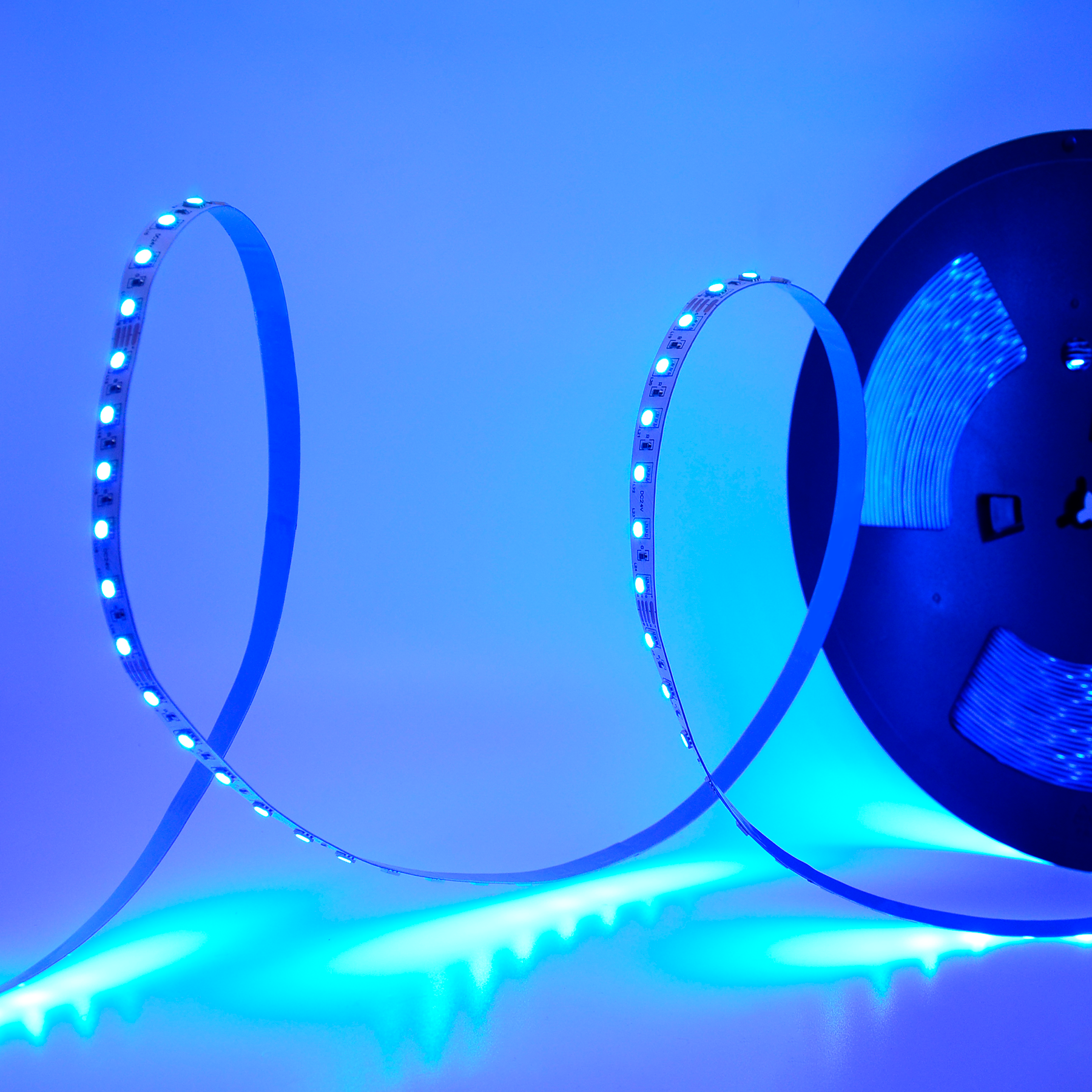 Strip light online blue colour