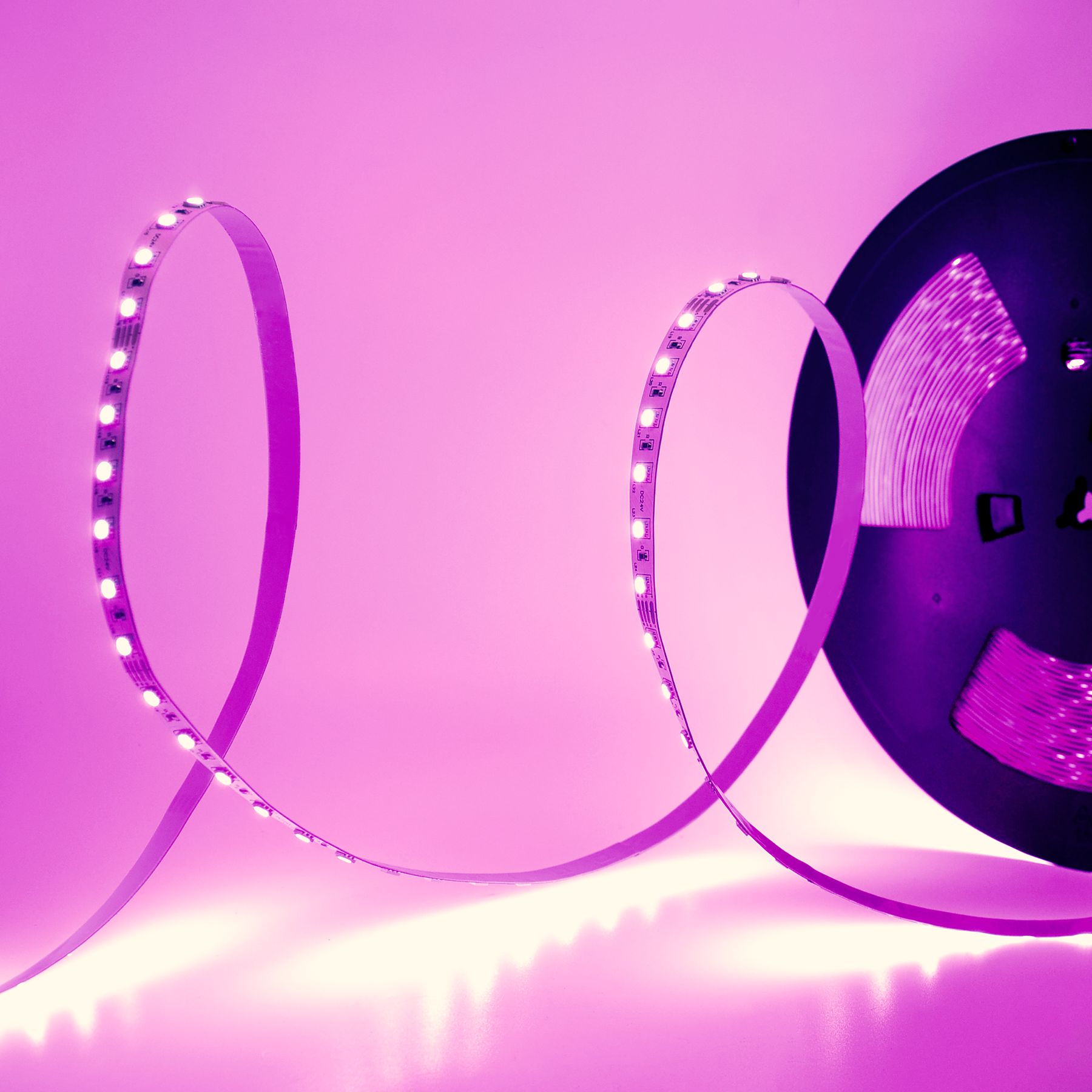 G.W.S LED Wholesale LED Strip Lights IP20 (Non-Waterproof) / RGB 24V IP20 5050 20 Meters 60 LEDs/M Colour Changing RGB LED Strip Light