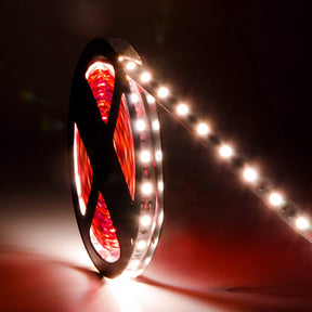 G.W.S LED Wholesale LED Strip Lights IP44 (Splashproof) / Red / Strip Only IP44 5050 5 Meters 60 LEDs/M LED Strip Light
