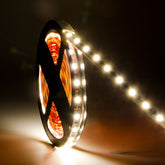 G.W.S LED Wholesale LED Strip Lights IP44 (Splashproof) / Warm White (3000K) / Strip Only IP44 5050 5 Meters 60 LEDs/M LED Strip Light