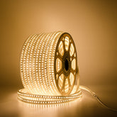 G.W.S LED Wholesale Ltd. LED Strip Lights 220V IP65 2835 LED Strip Light