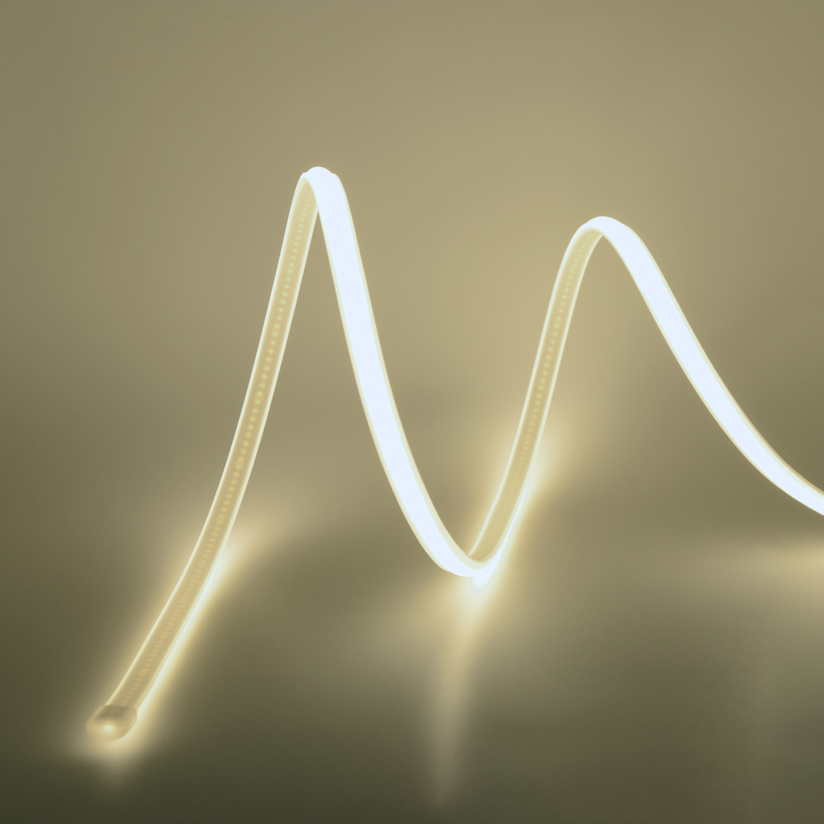 G.W.S LED Wholesale Ltd. LED Strip Lights AC220V COB LED Strip Light