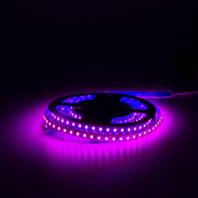 G.W.S LED Wholesale Ltd. LED Strip Lights IP20 (Non-Waterproof) / Magenta / Strip Only Non-Waterproof IP20 2835 5 Meters 120 LEDs/M LED Strip Light